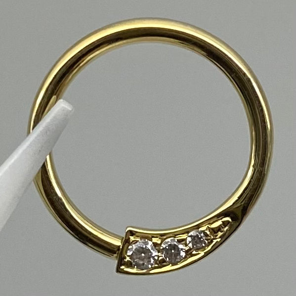 BVLA Prysm Seam Ring