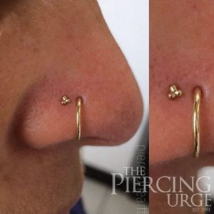 gold-nose-piercings