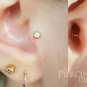 piercing-urge-ear-piercings